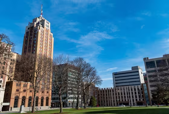 Lansing